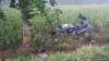 Pojazd osobowy uderzył w drzewo w miejscowości Łoje.